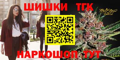 молекула духа Будённовск