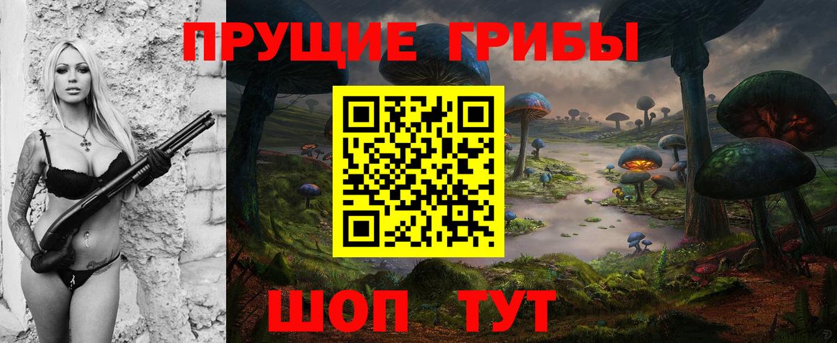 Стерлитамак  Псилоцибиновые грибы MAGIC MUSHROOMS  Вход с VPN 